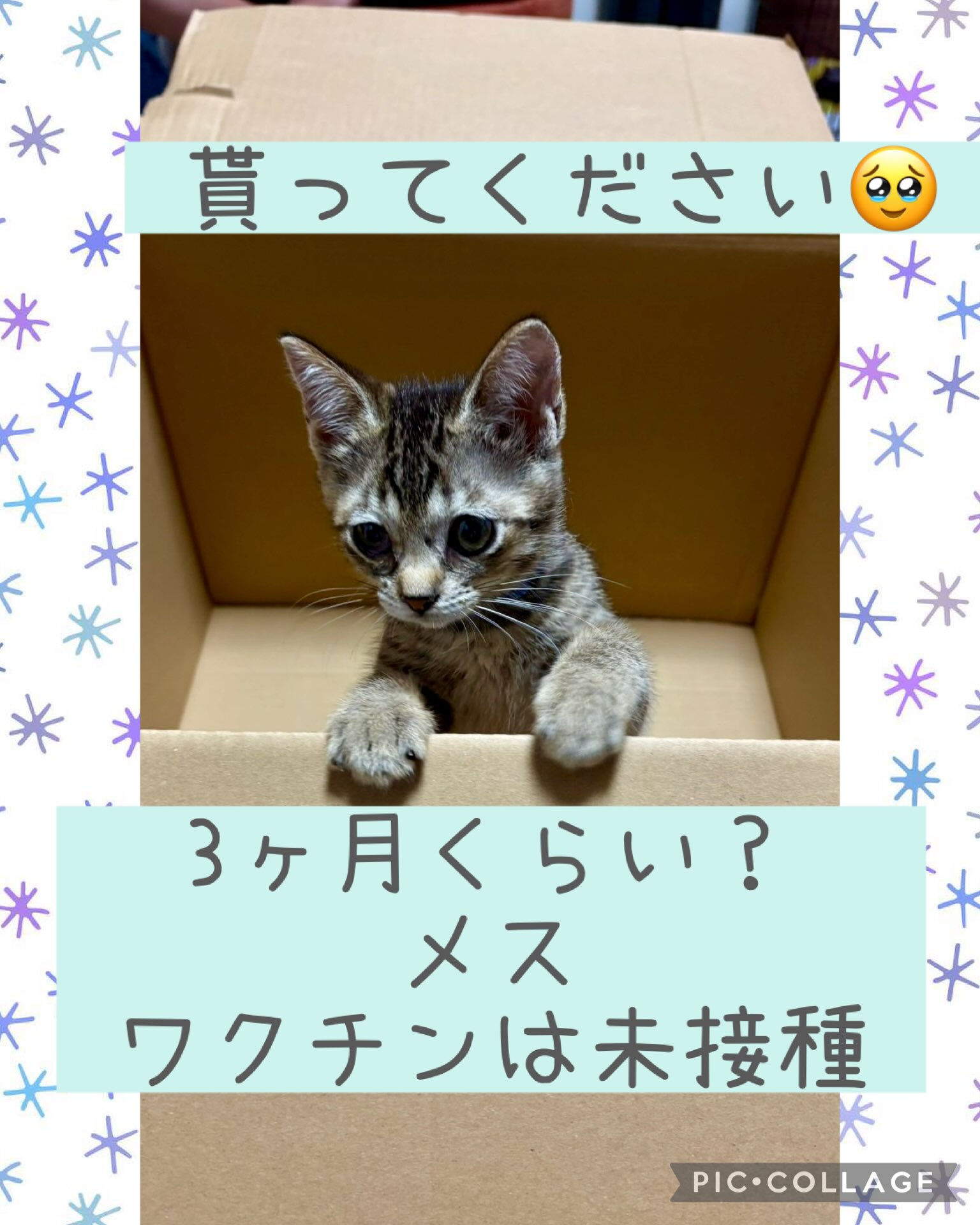 『貰って頂けませんか？』